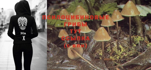 мет Белокуриха