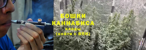 мет Белокуриха